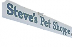 gallery/steves