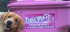 gallery/deamp