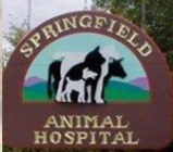 gallery/springfield animal hospital